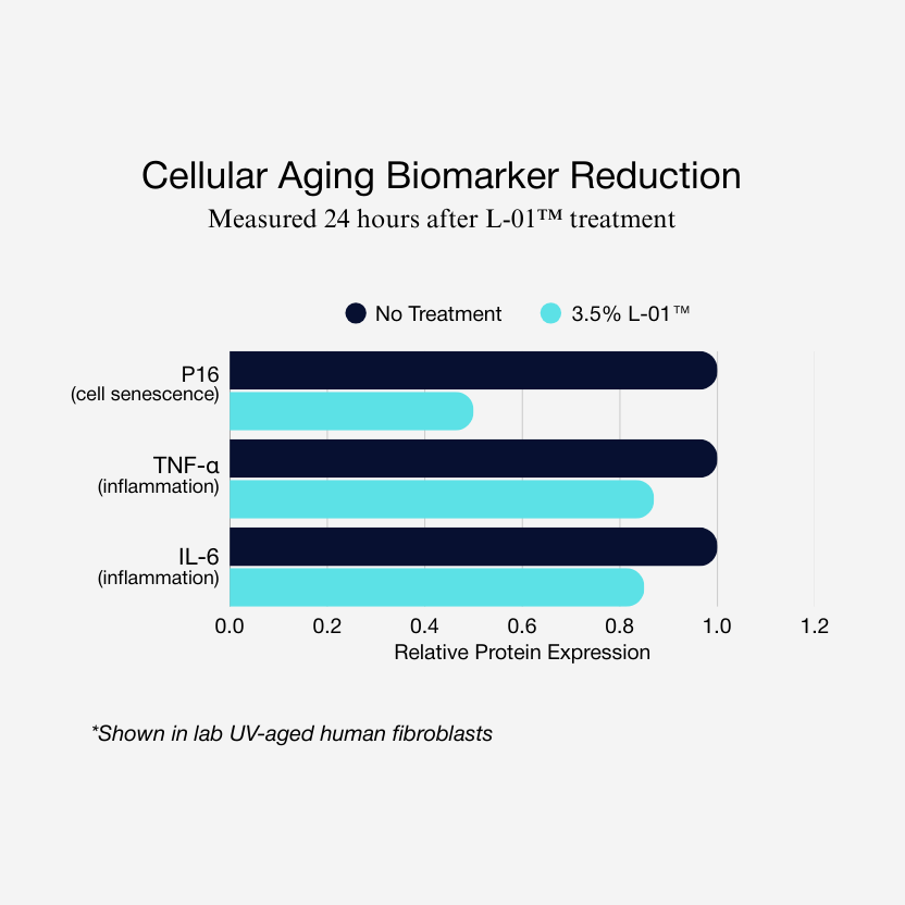 Longevity Protocol Serum + Moisturizer