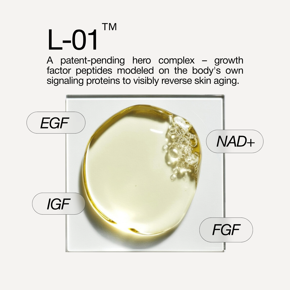 Face Serum + Moisturizer