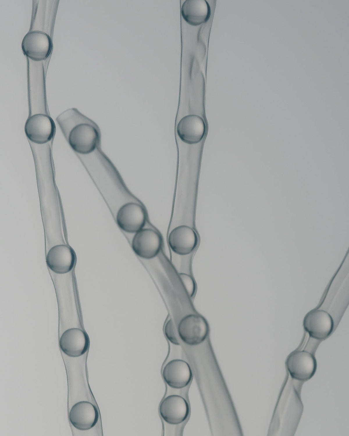 Understanding Visible Skin Aging: What Causes It and What Actually Helps