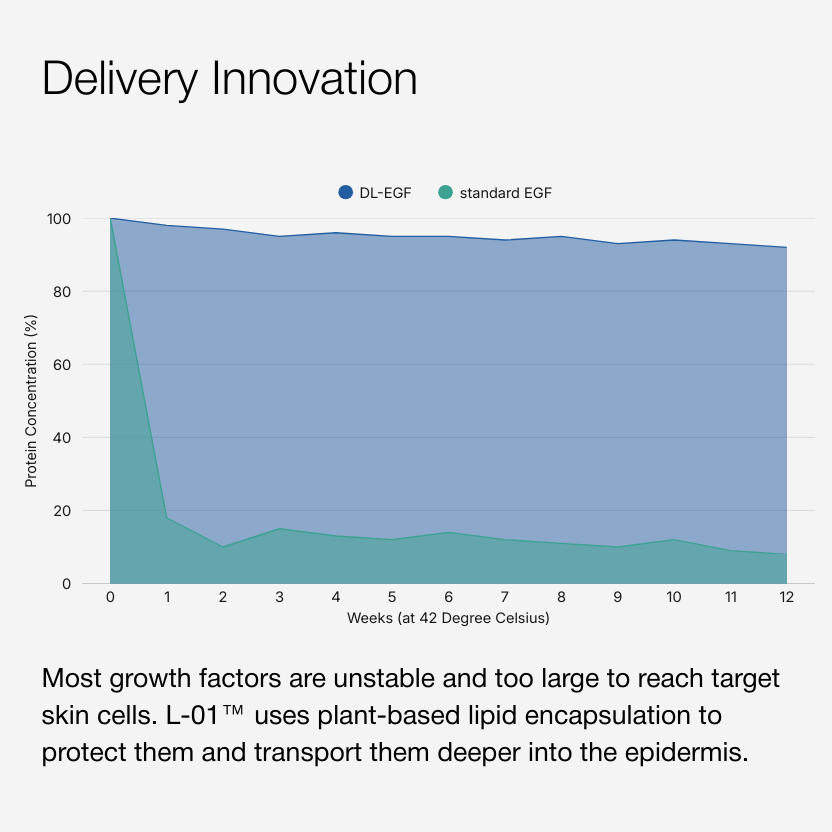 Longevity Protocol Serum + Moisturizer
